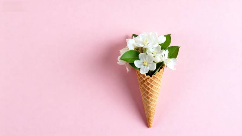 花束冰淇淋 粉色浪漫图片