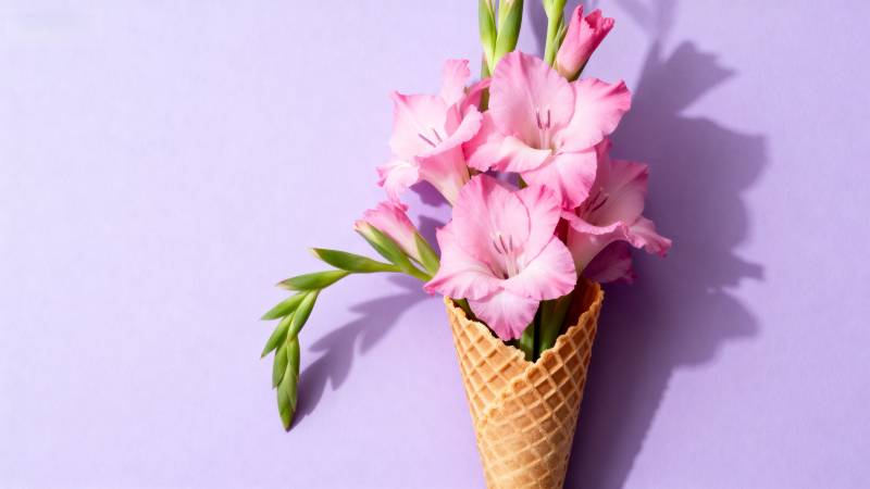 花筒甜梦 粉紫浪漫图片