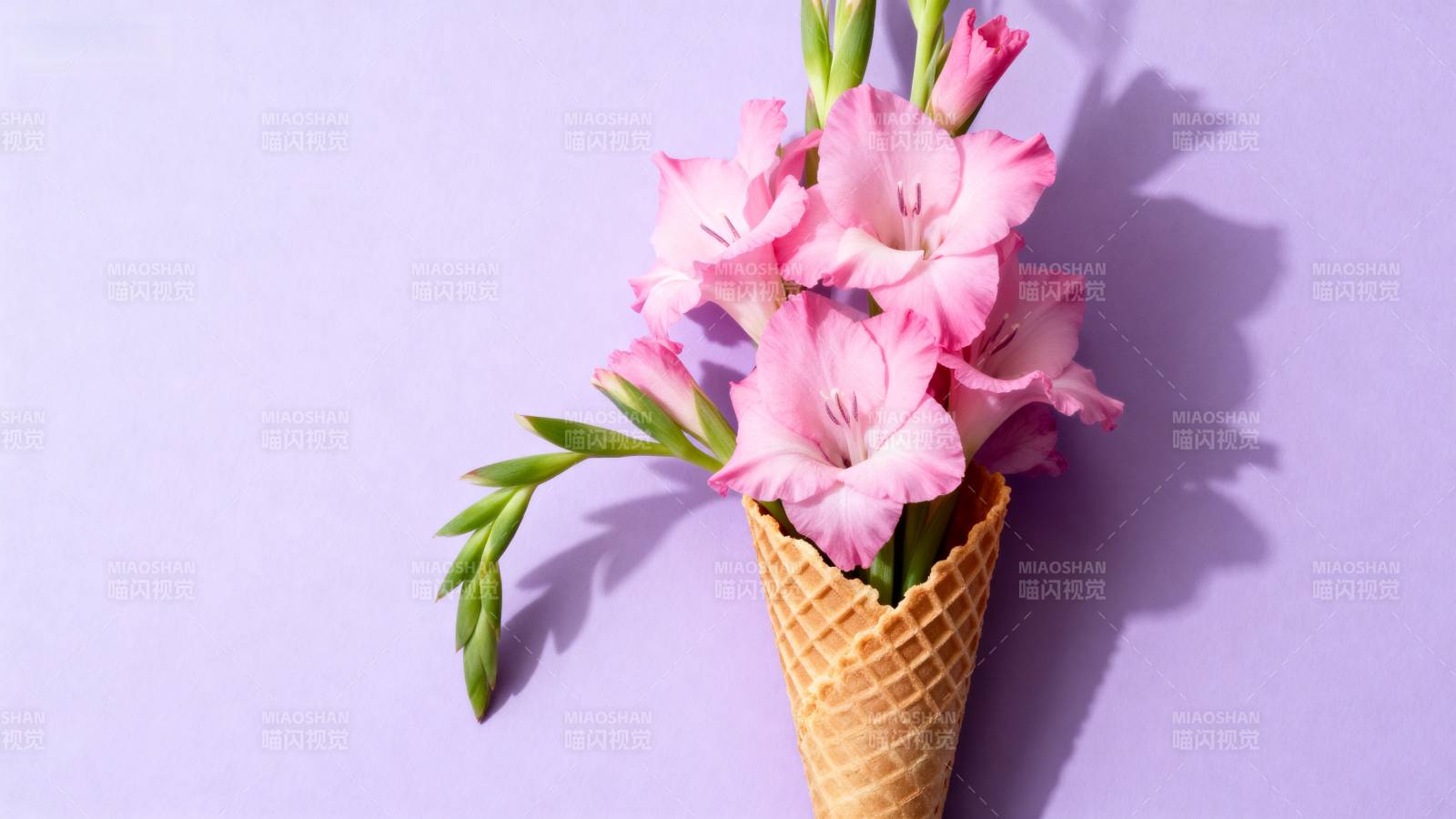 花筒甜梦 粉紫浪漫图片