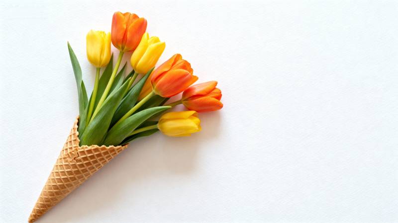 郁金香冰淇淋甜筒花束图片