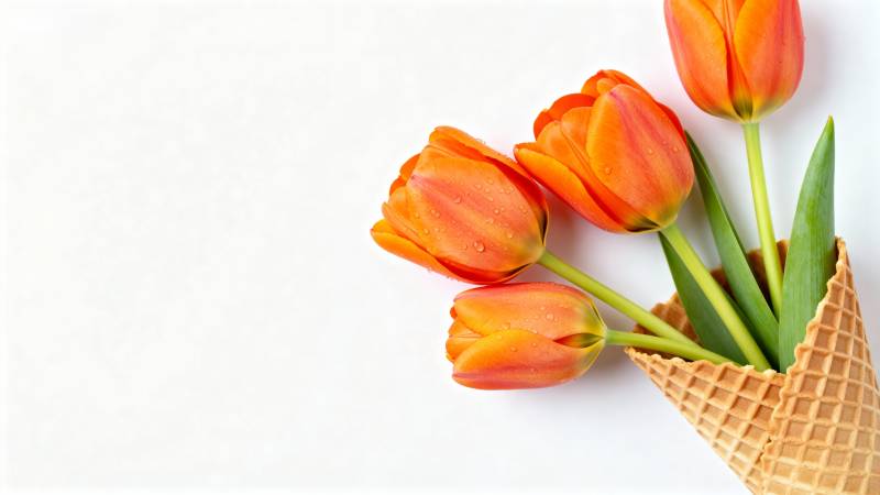 tulip ice cream cone图片