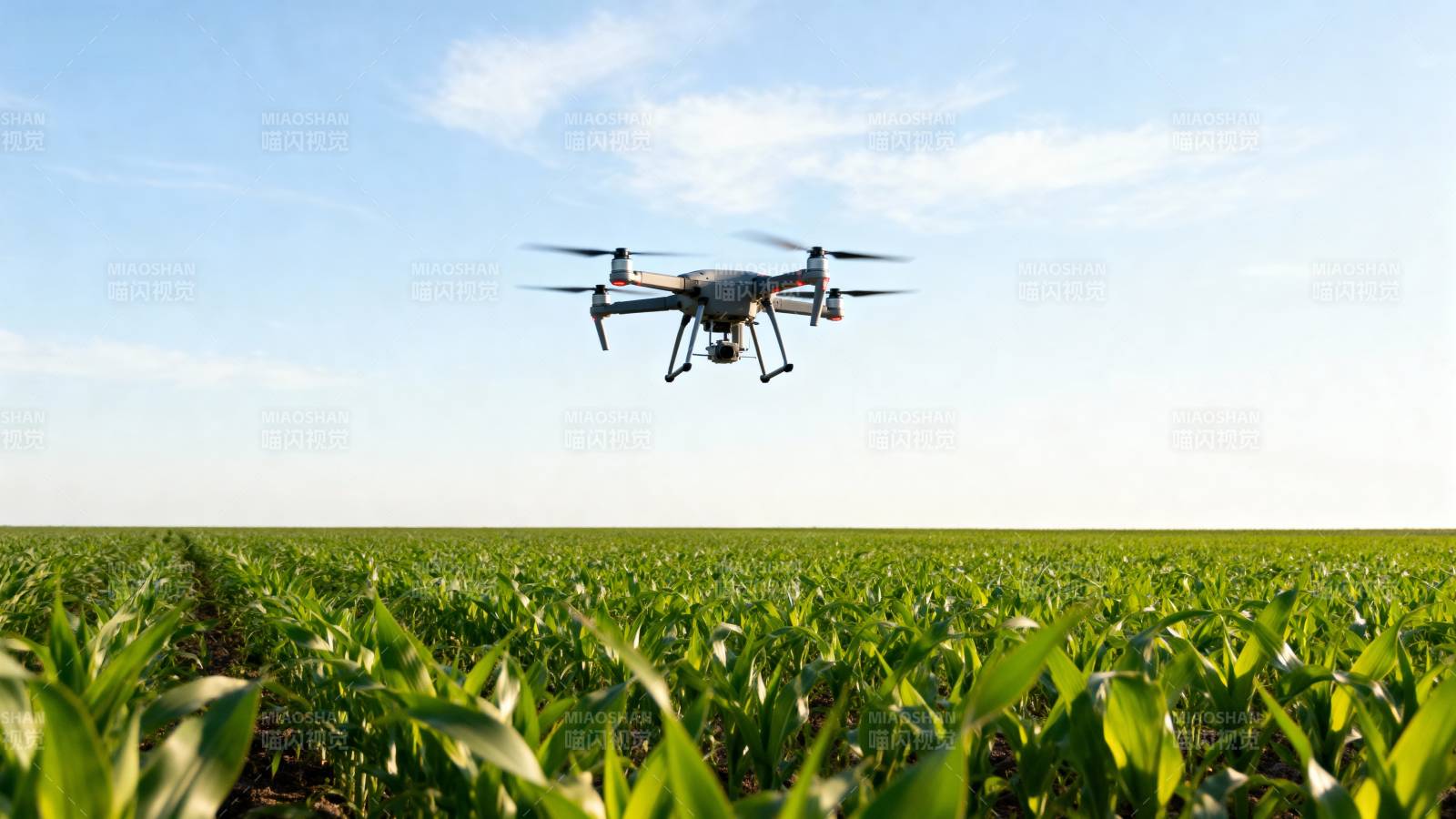 无人机巡田 智慧农业新篇图片