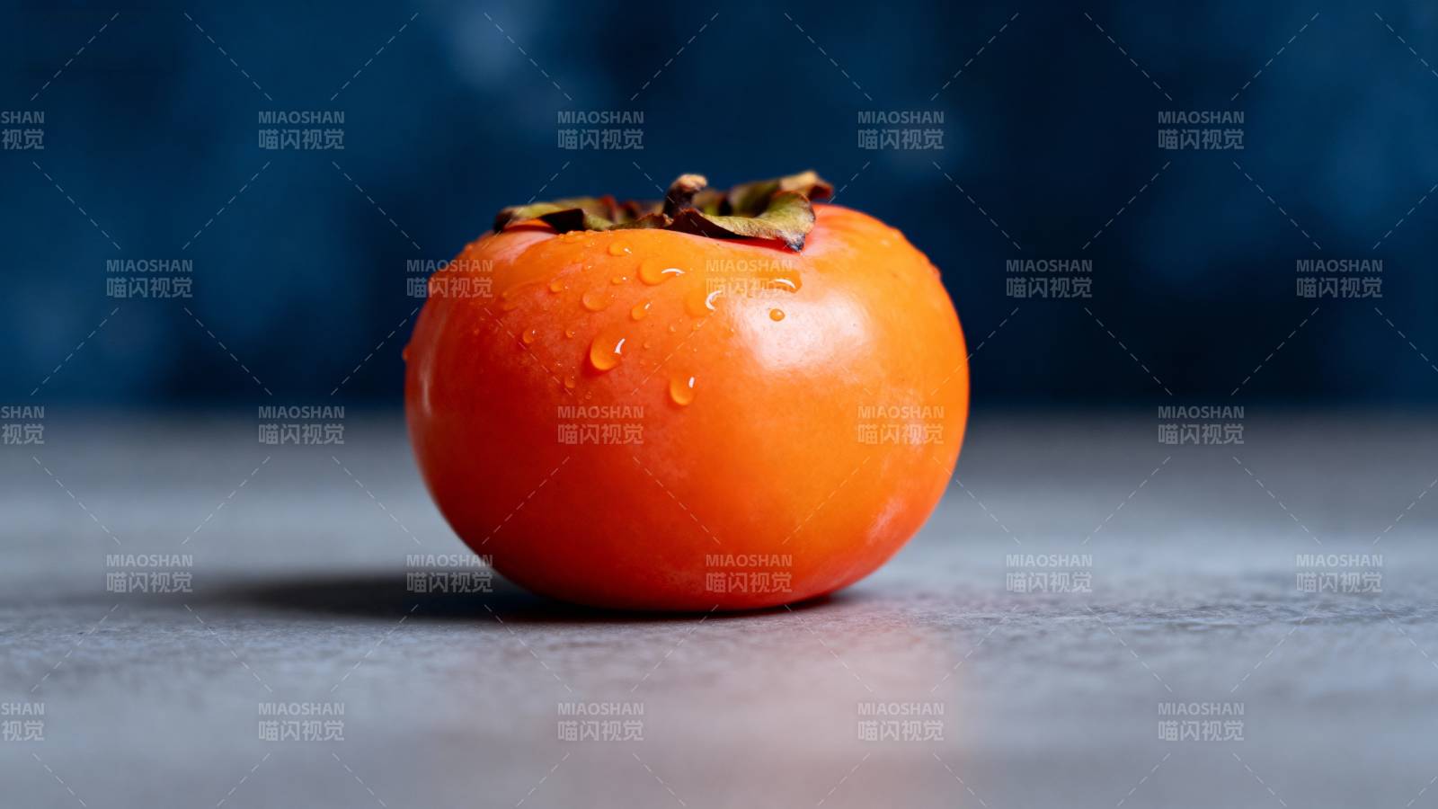 水珠红柿 静置蓝背景前图片