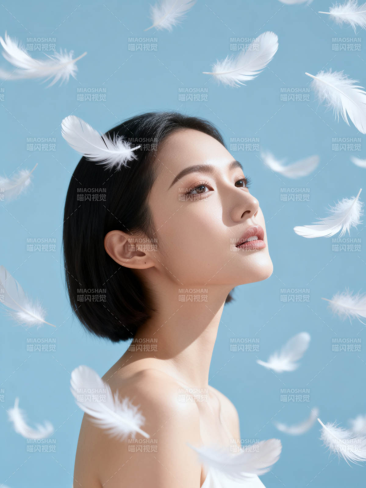 羽落肩头 静美如诗图片