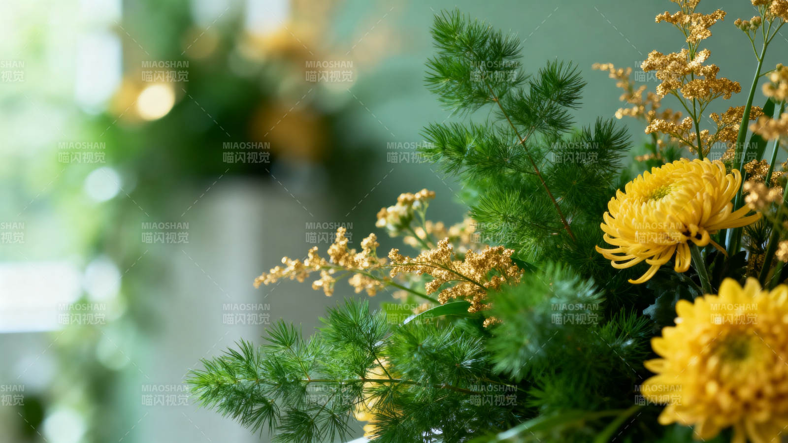 黄菊松枝 秋日雅韵图片