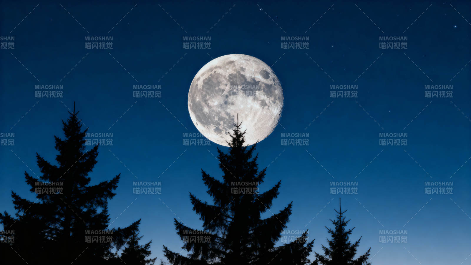 月照松林夜静谧图片