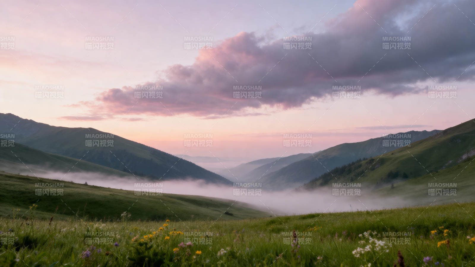 晨雾山谷 花海映霞光图片