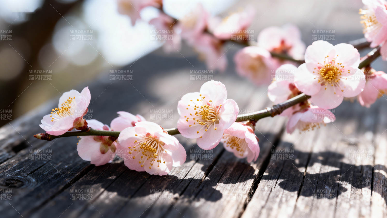 梅花枝头映木桌图片