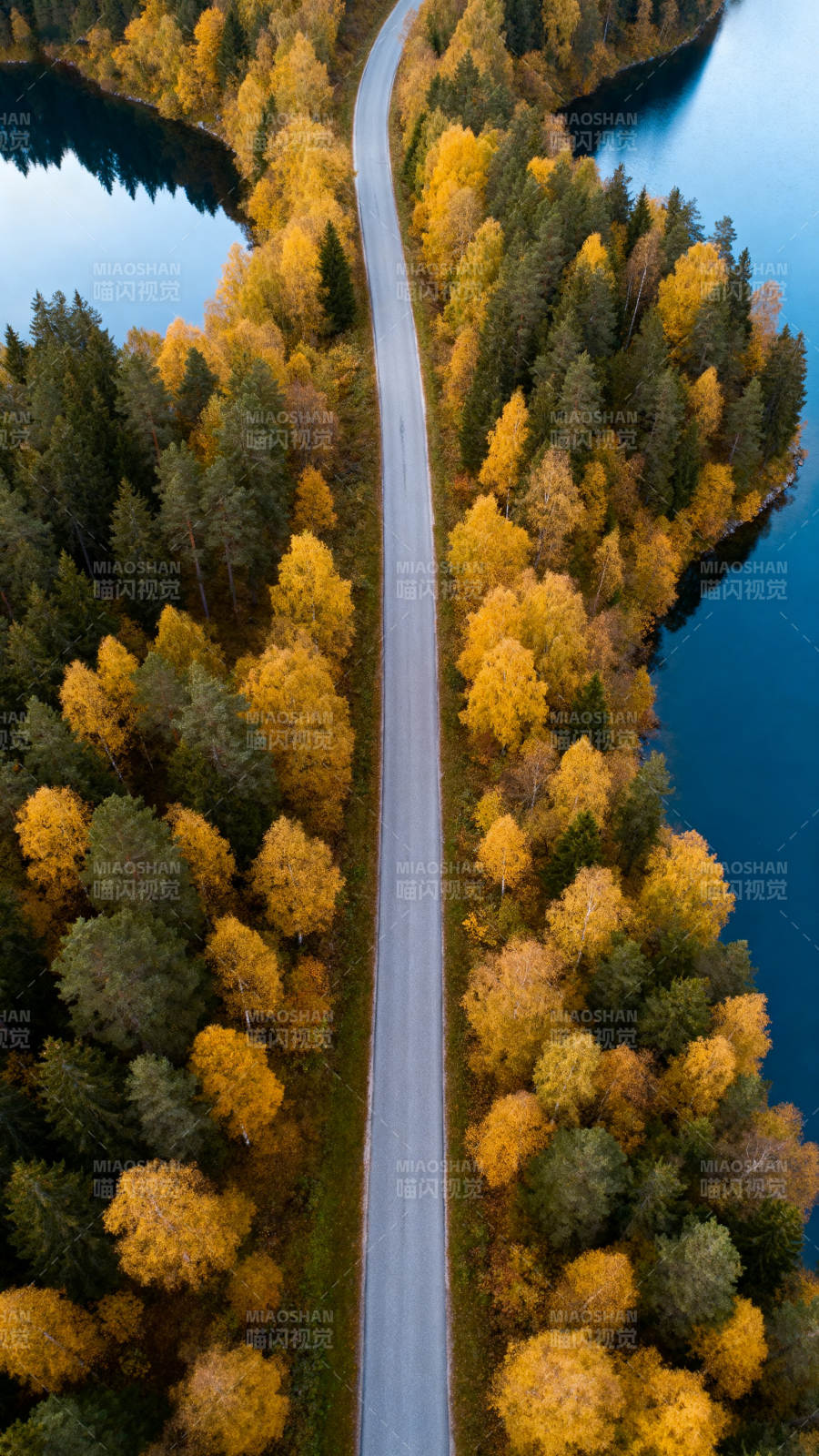 秋色公路穿林湖间图片