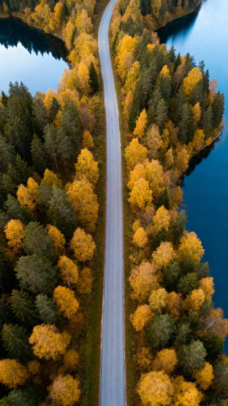 秋色公路穿林湖间图片