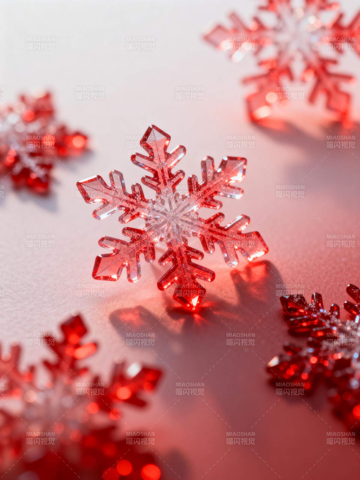 红雪晶 冬日暖意图片