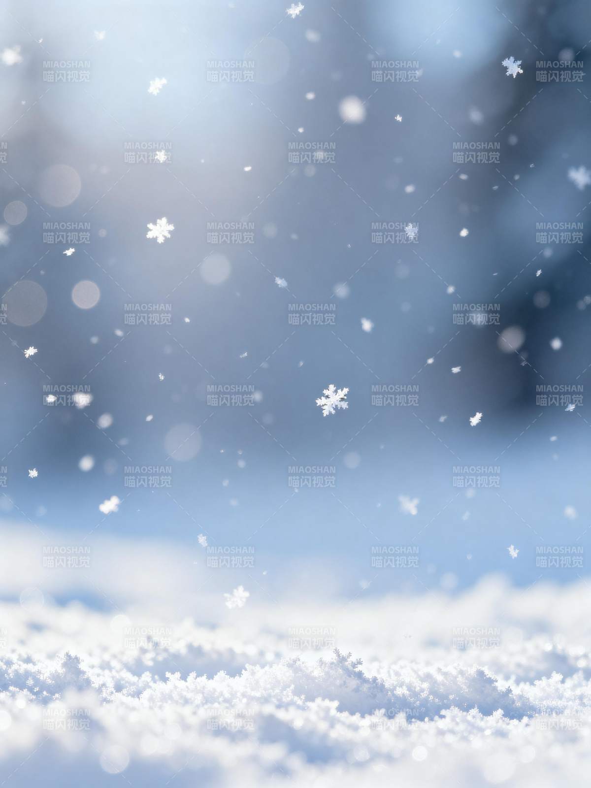 雪落无声 冬日静谧美图片