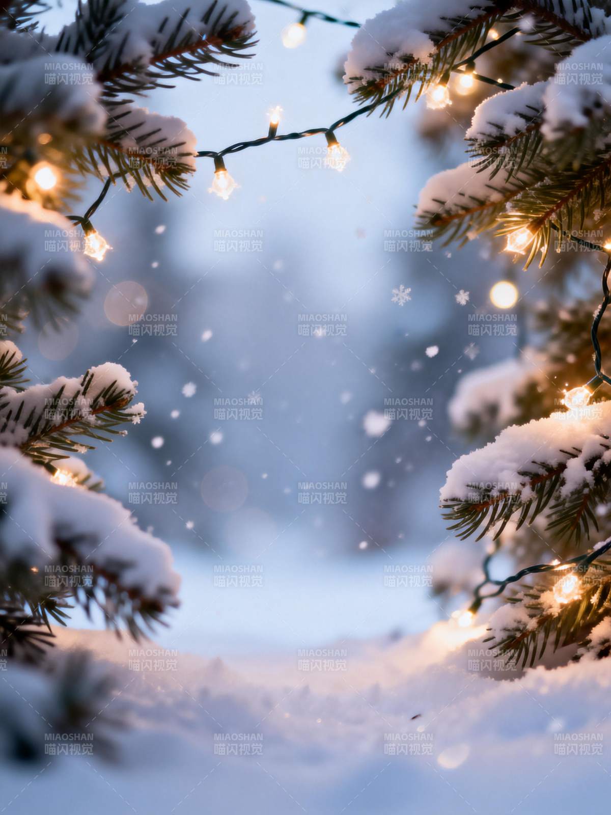 雪夜松枝灯影暖图片