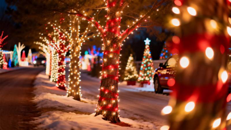 雪夜彩灯映树 温馨圣诞街景图片