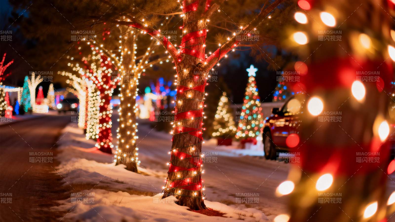 雪夜彩灯映树 温馨圣诞街景图片
