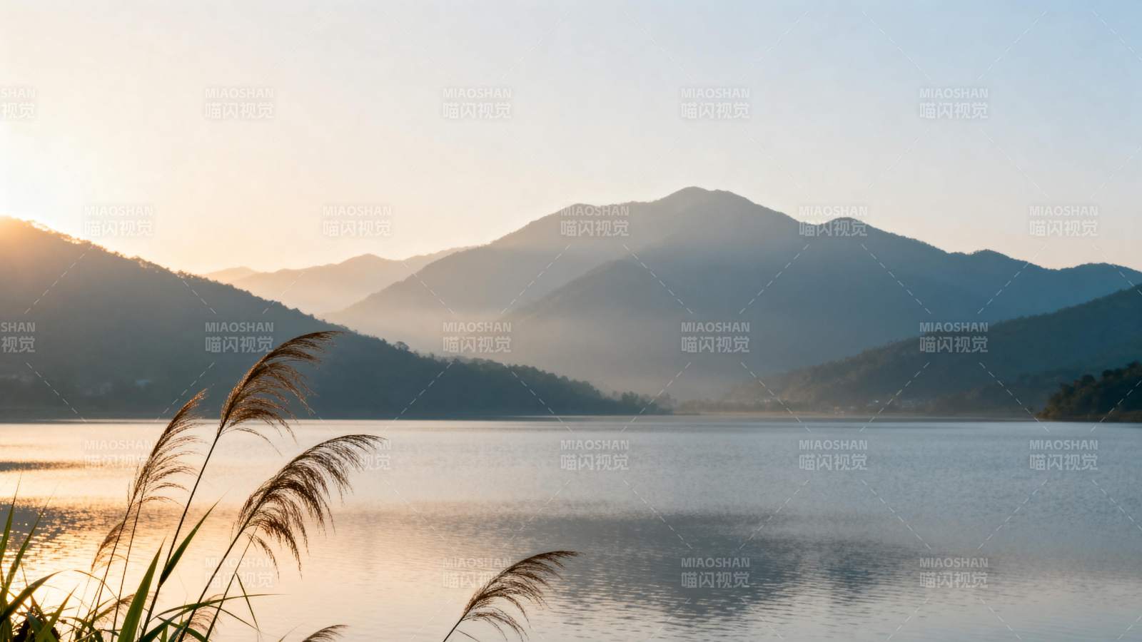 湖光山色 晨光芦苇摇曳图片