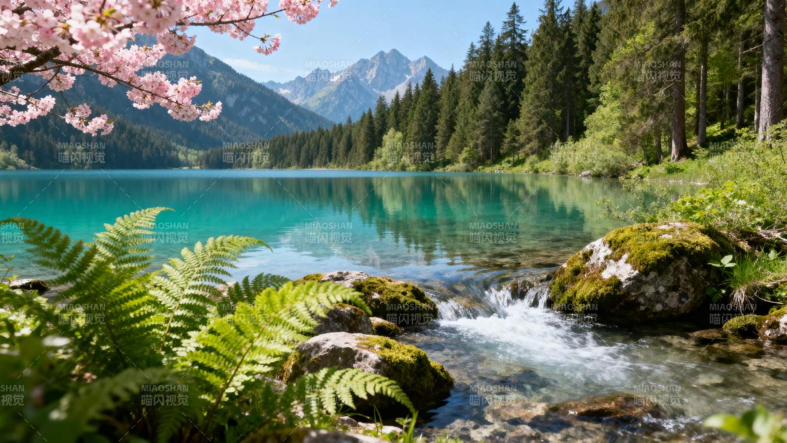 春湖映山 樱 fern 流水潺潺图片