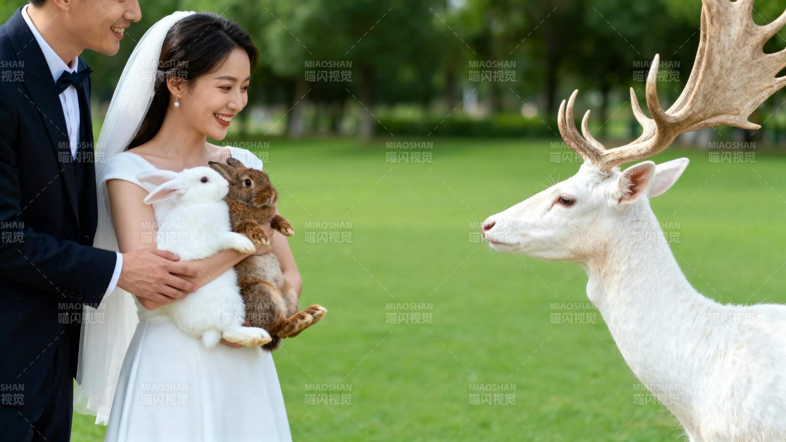 新人抱兔遇白鹿 浪漫自然风图片