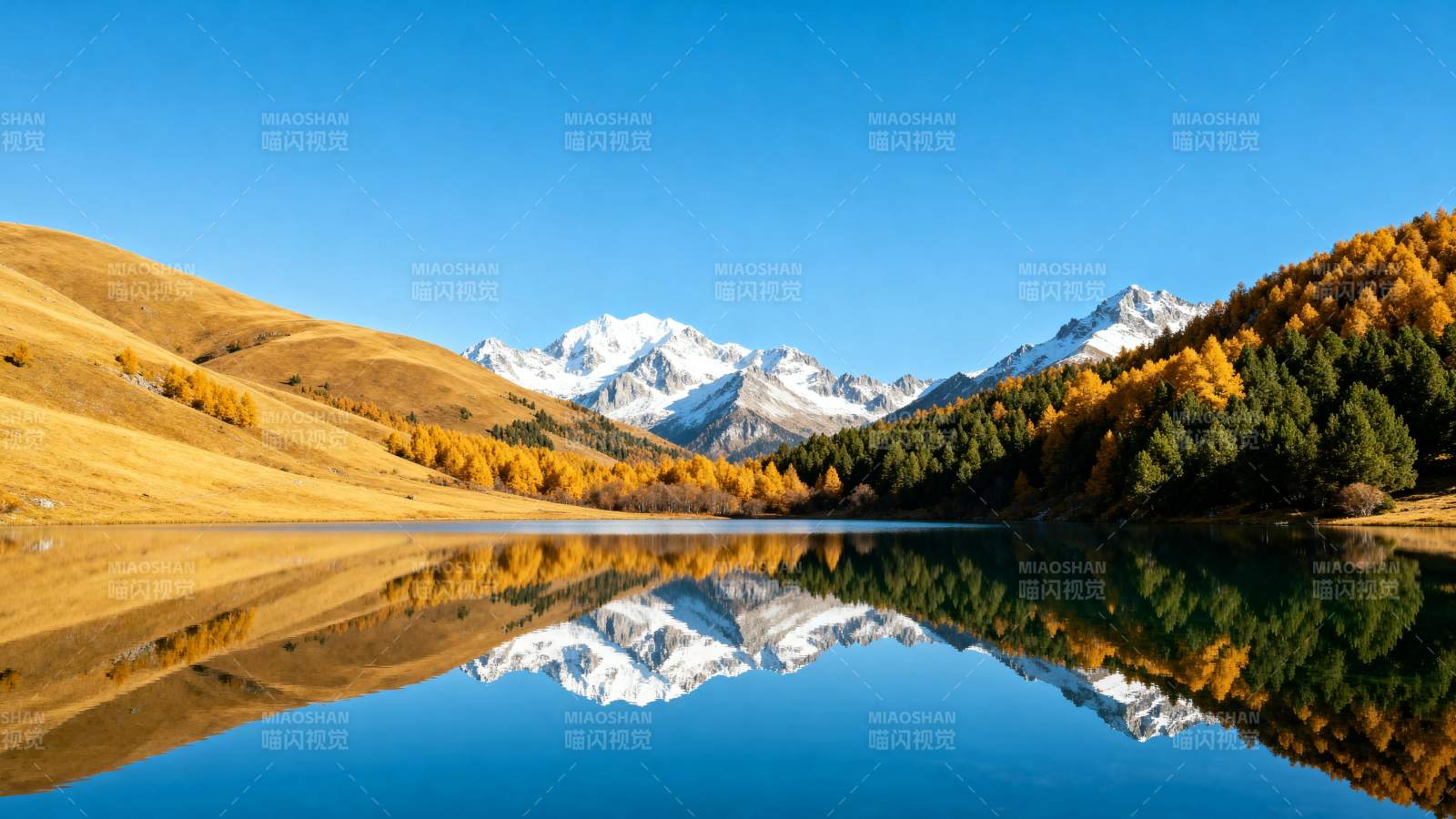 秋湖映雪山 金林倒影蓝图片