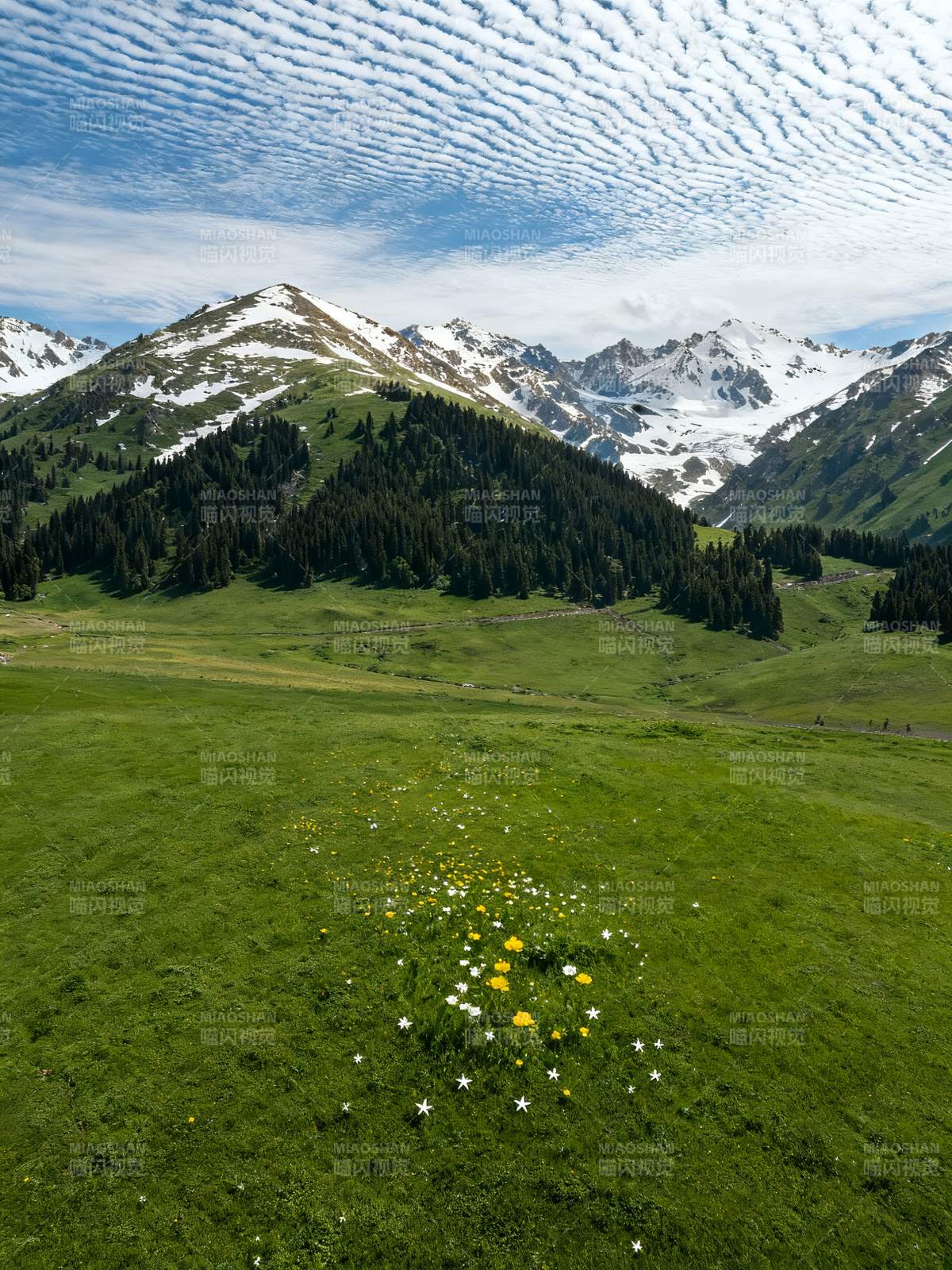 雪山花海 云纹天幕图片