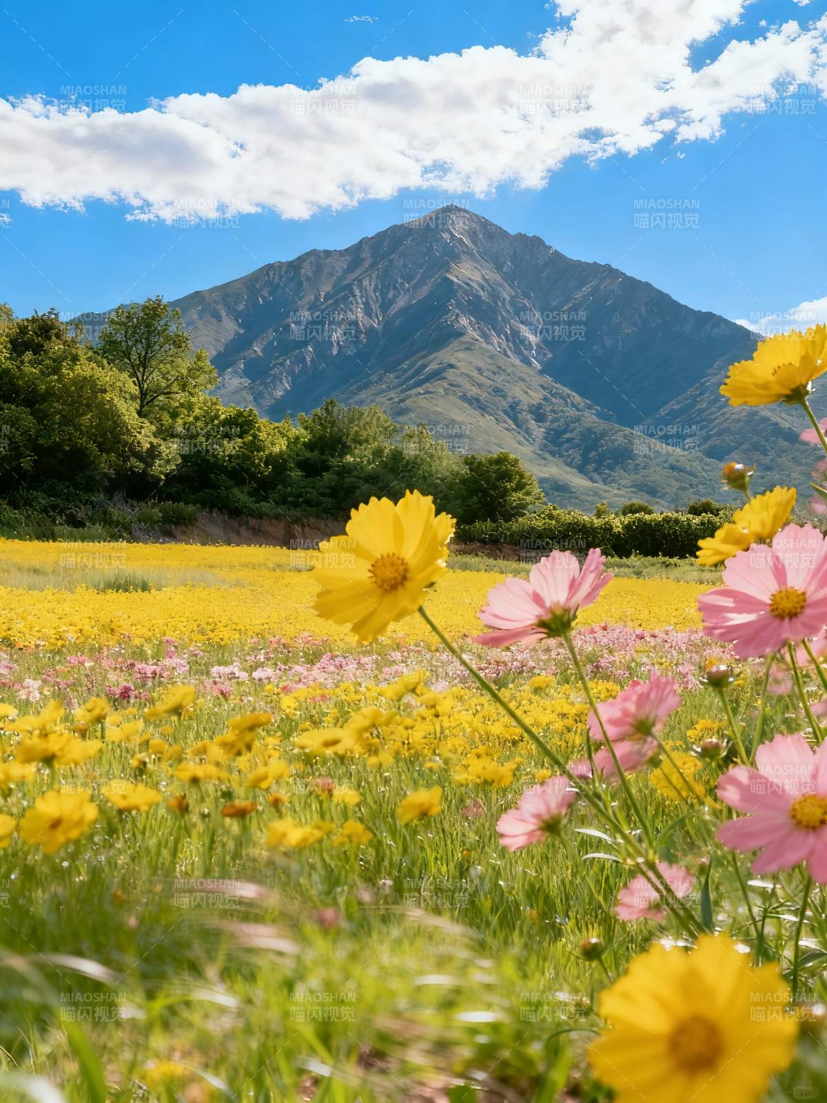 花海映山 春色满园图片