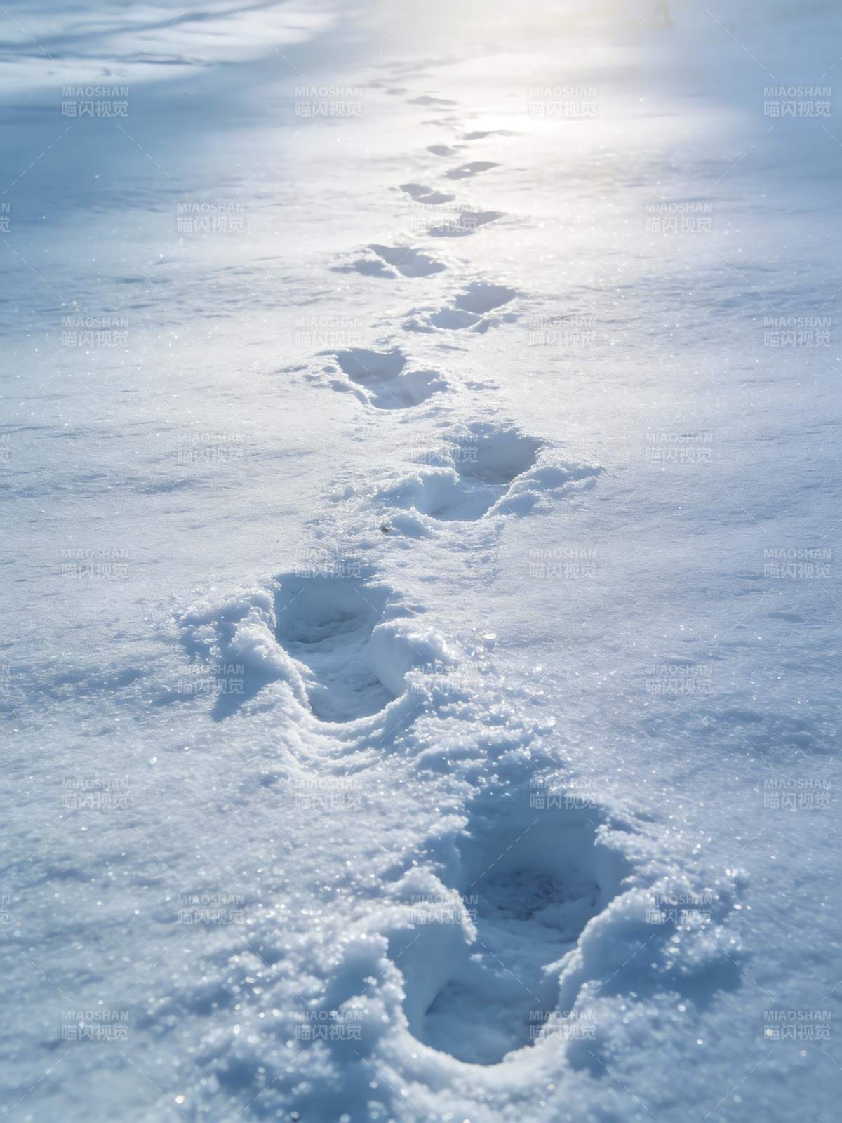 雪径足迹 通向远方光明图片