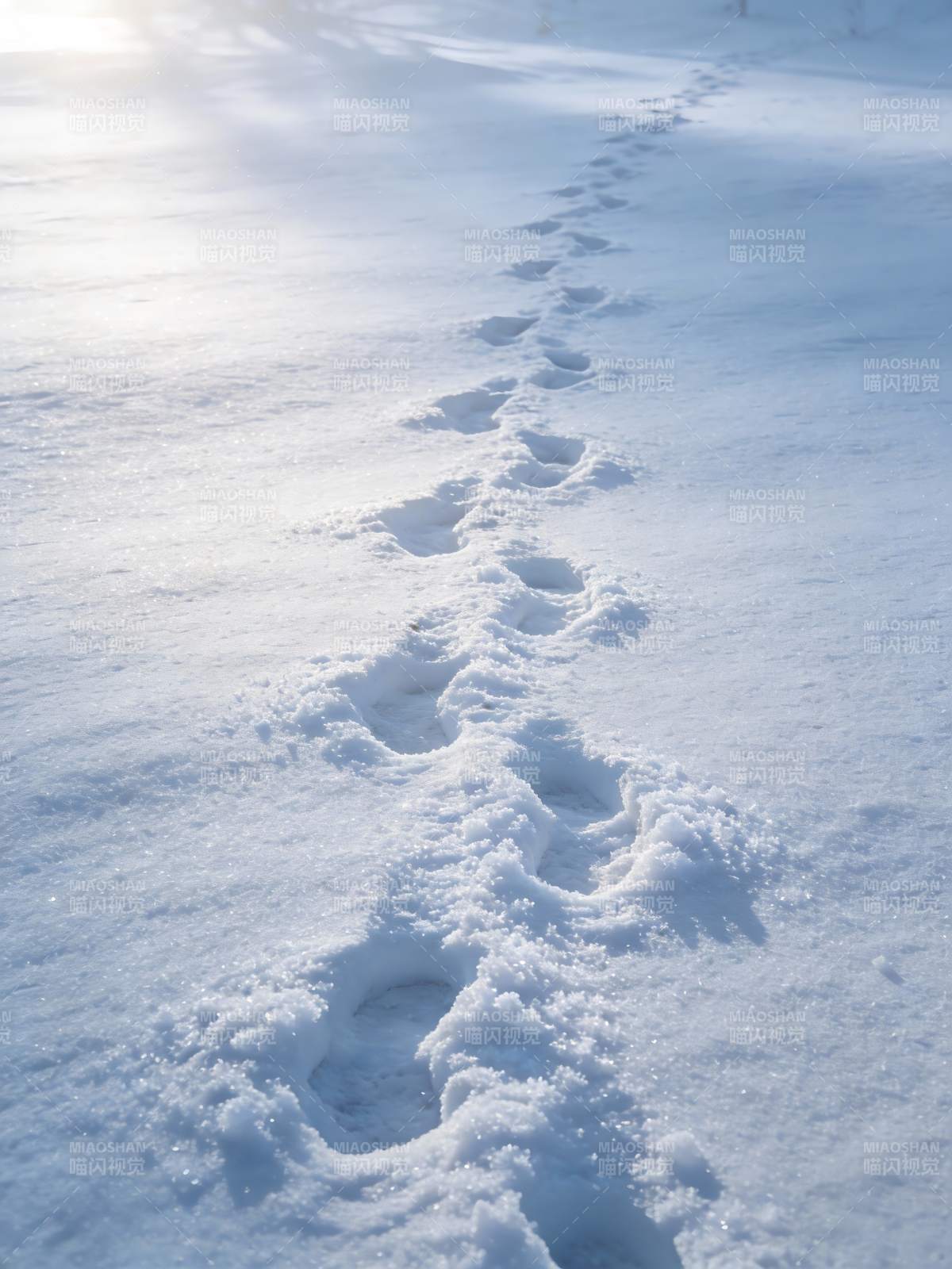 雪径足迹 通向远方图片