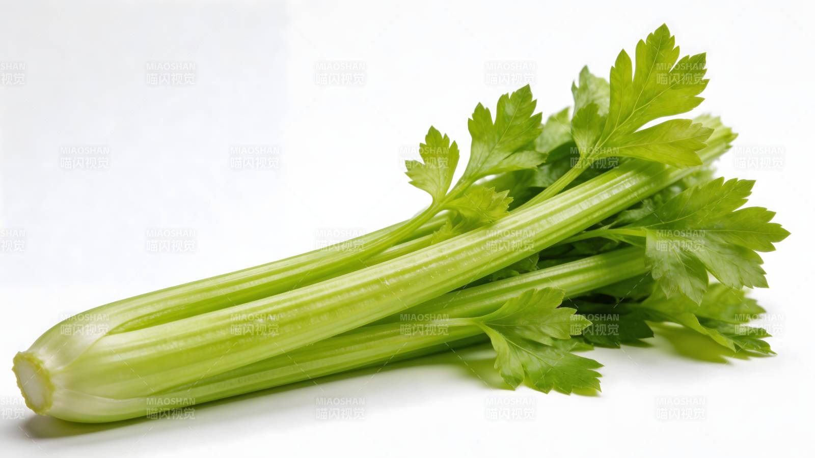 新鲜翠绿的芹菜茎叶图片