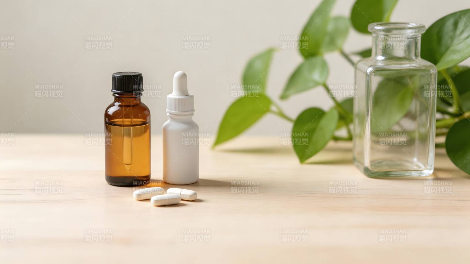 药瓶绿植静物图图片