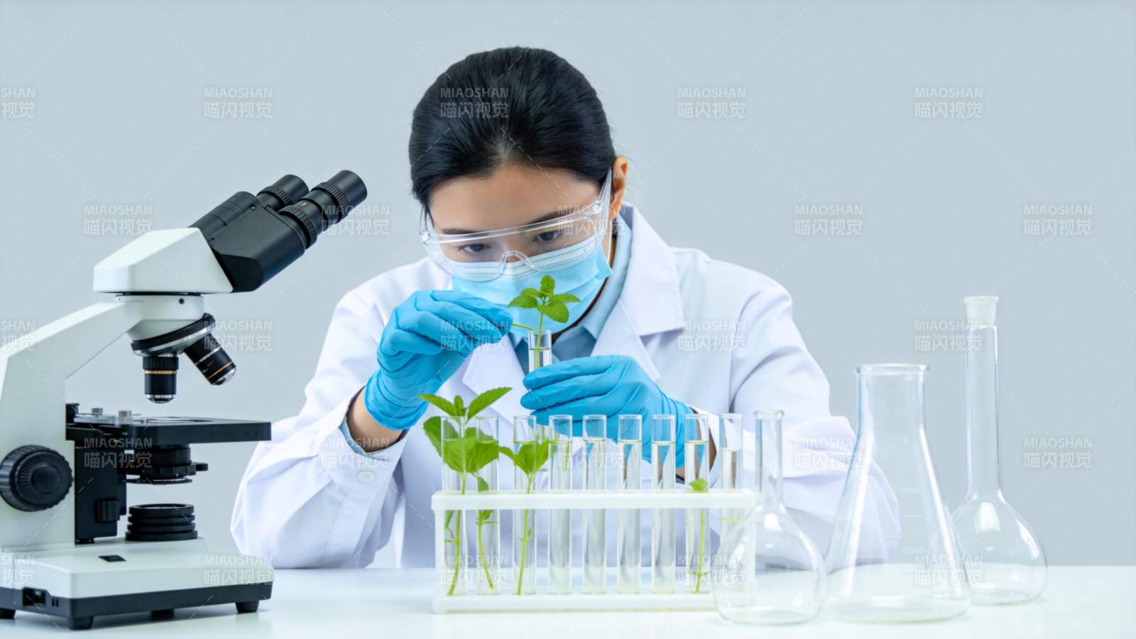 科研人员在实验室观察植物幼苗生长实验图片