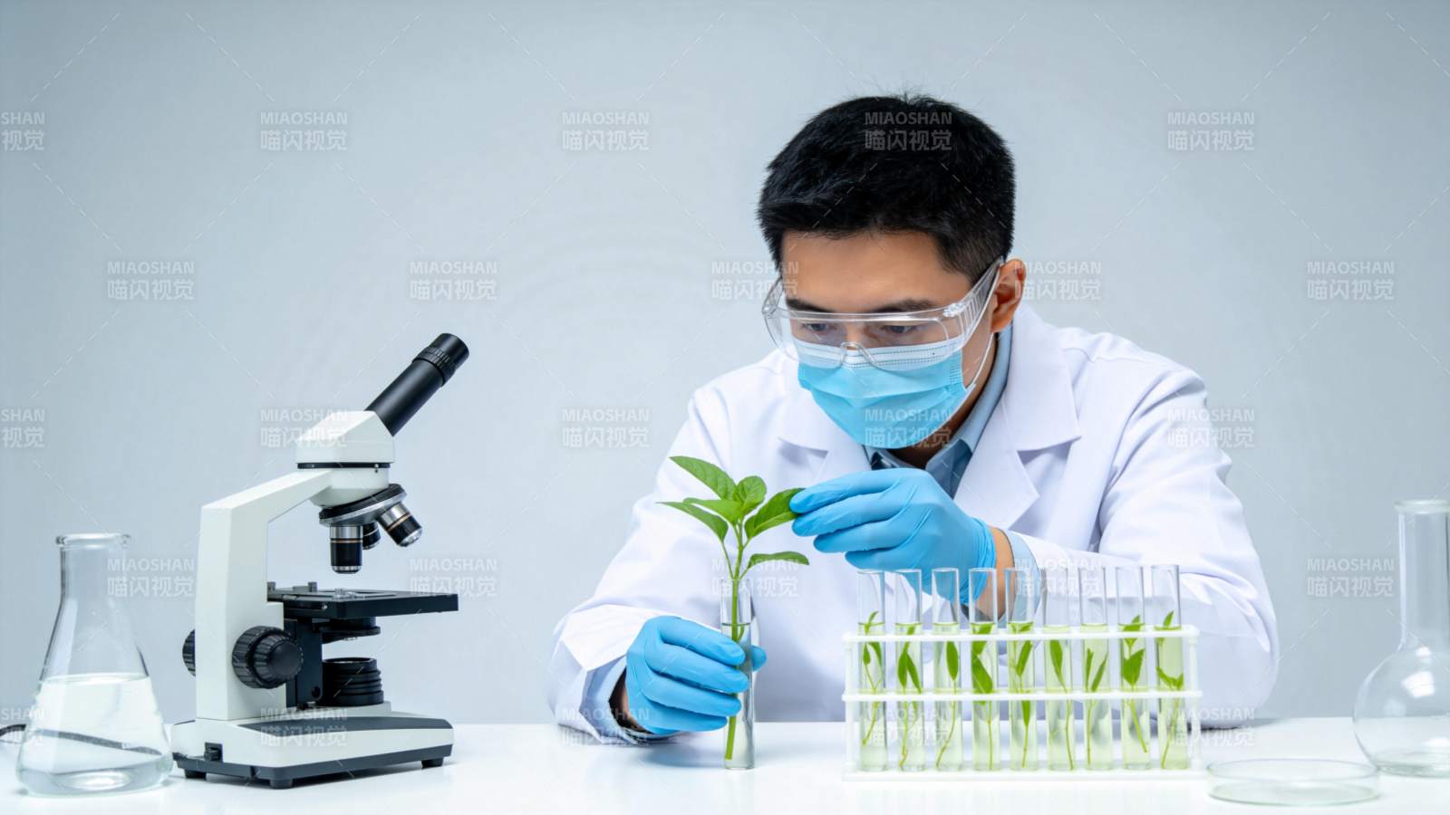 科研人员在实验室观察植物幼苗生长实验图片