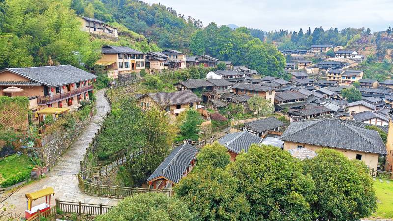 山间古村 青瓦木楼隐绿林图片