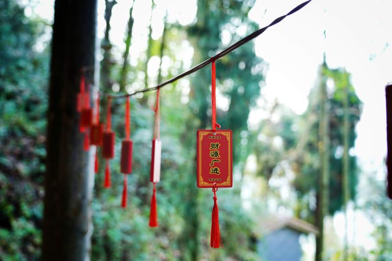 林间红符祈平安图片