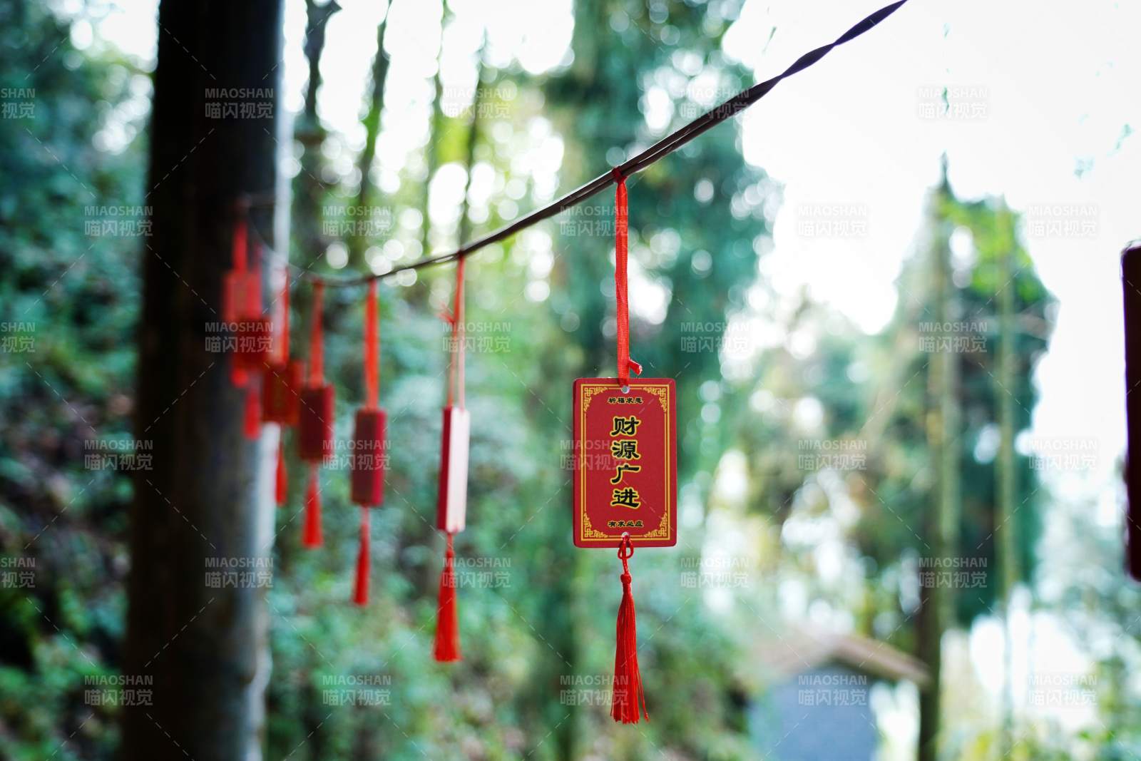 林间红符祈平安图片