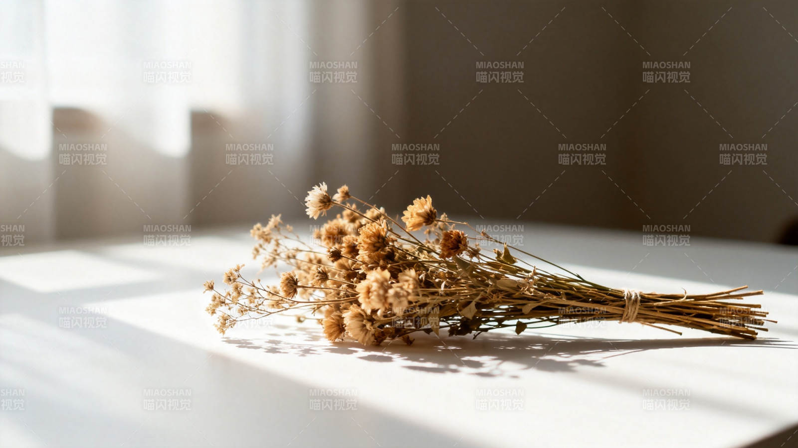 阳光下的干花束图片