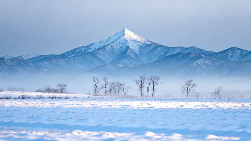 雪覆山巅 雾锁寒原图片