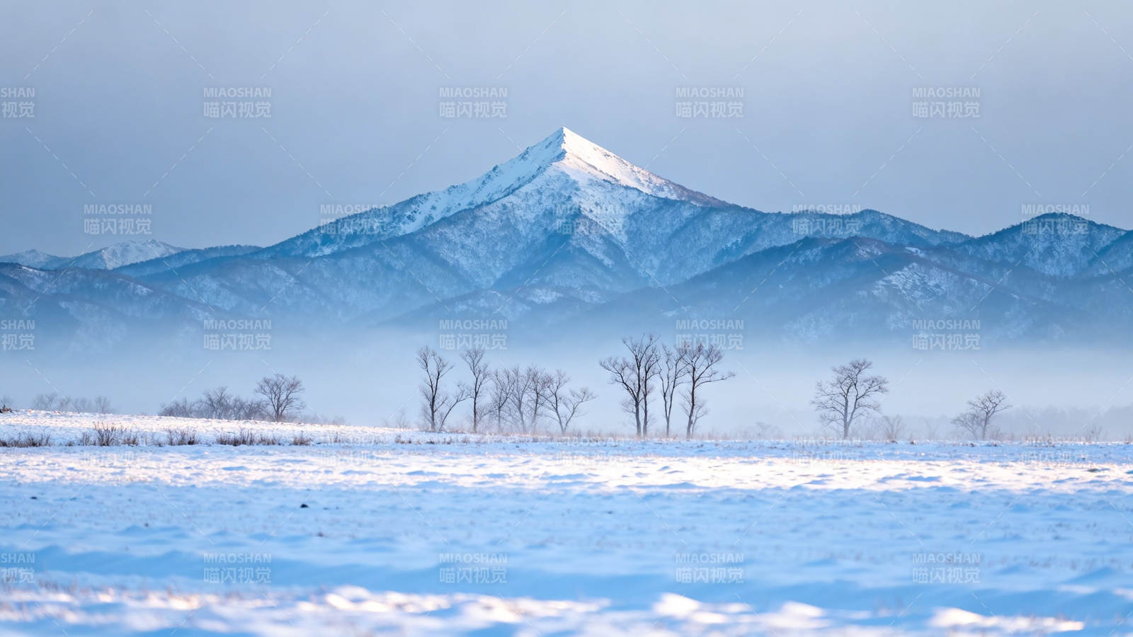 雪覆山巅 雾锁寒原图片
