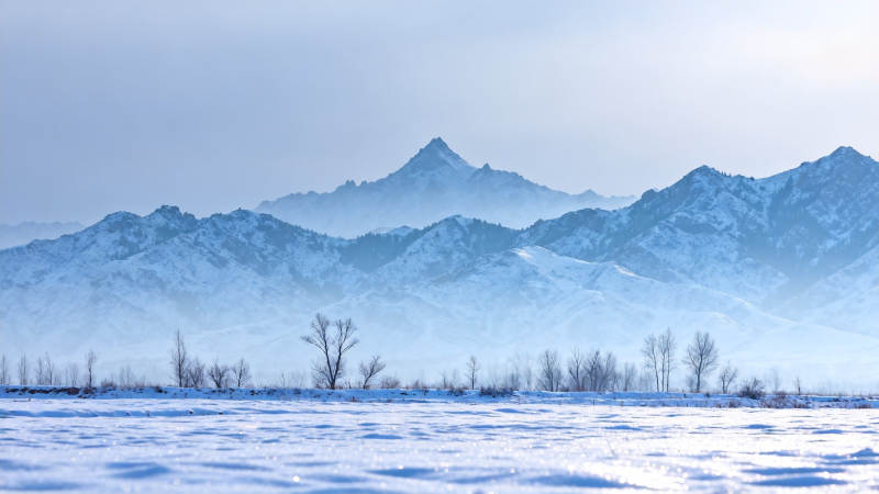 雪原远山 静谧冬景图片