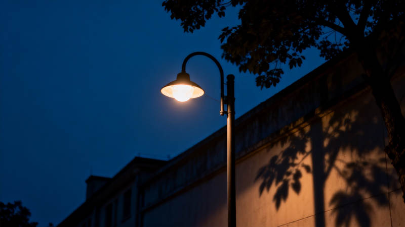 夜幕街灯 树影斑驳墙图片