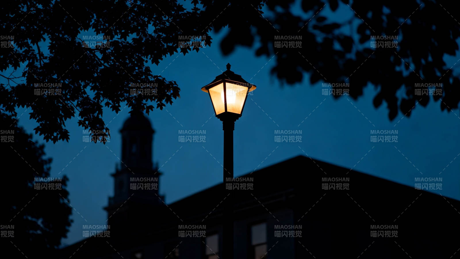 夜灯映古楼 树影伴幽静图片