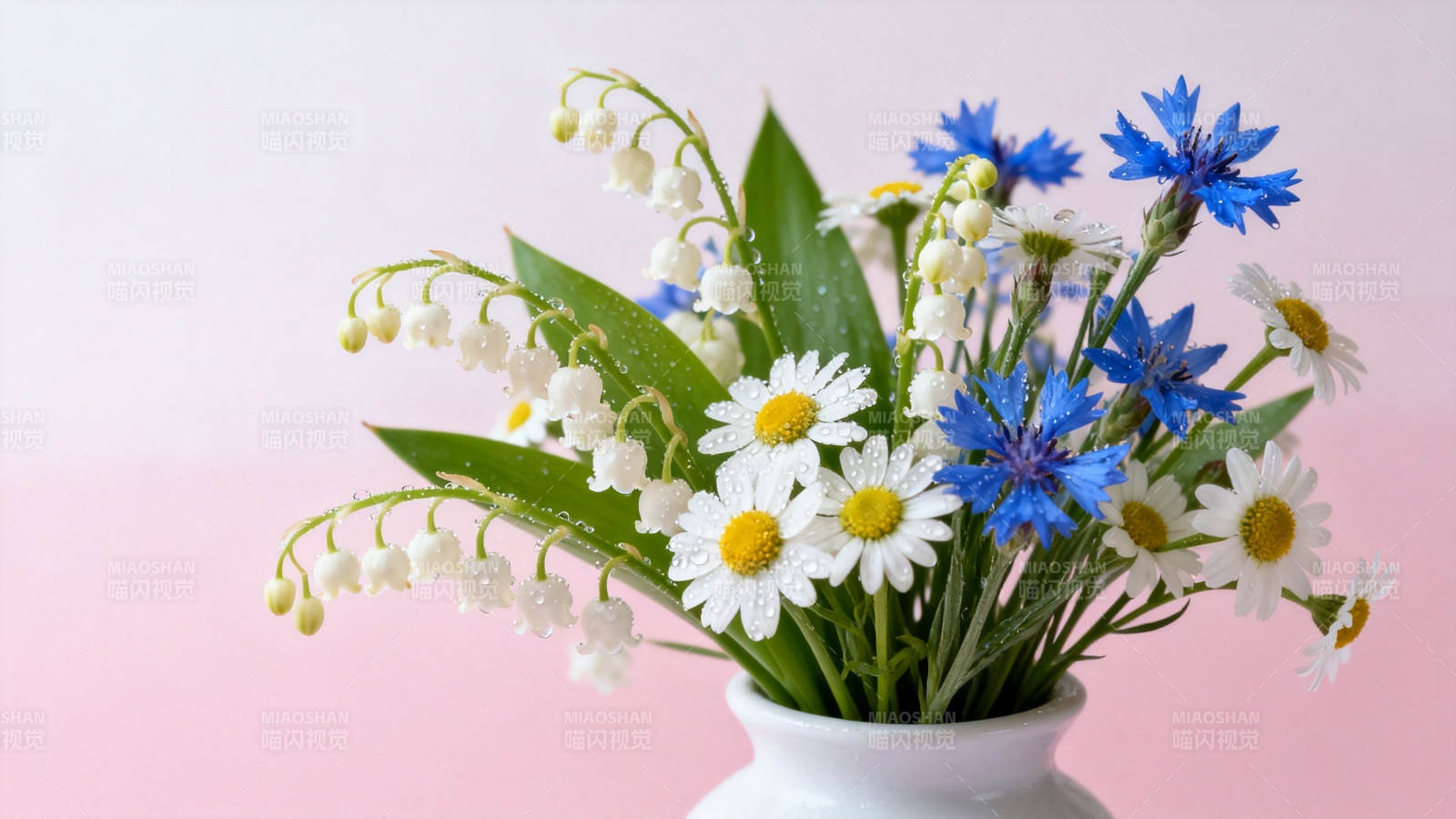 春日花束 铃兰雏菊矢车菊图片