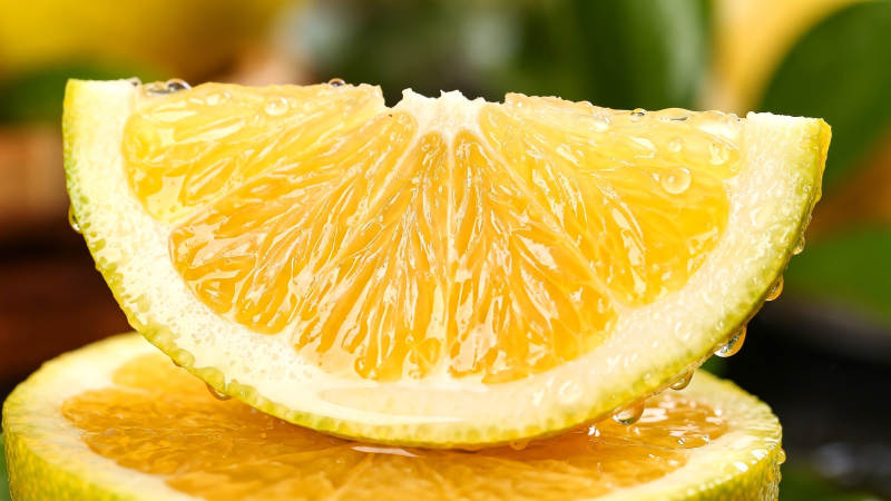 鲜橙切片 汁水欲滴图片