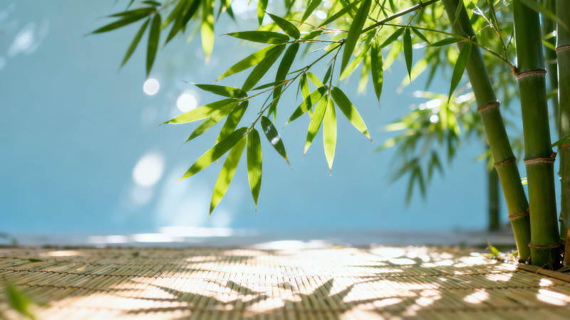 竹影斑驳 清风徐来图片