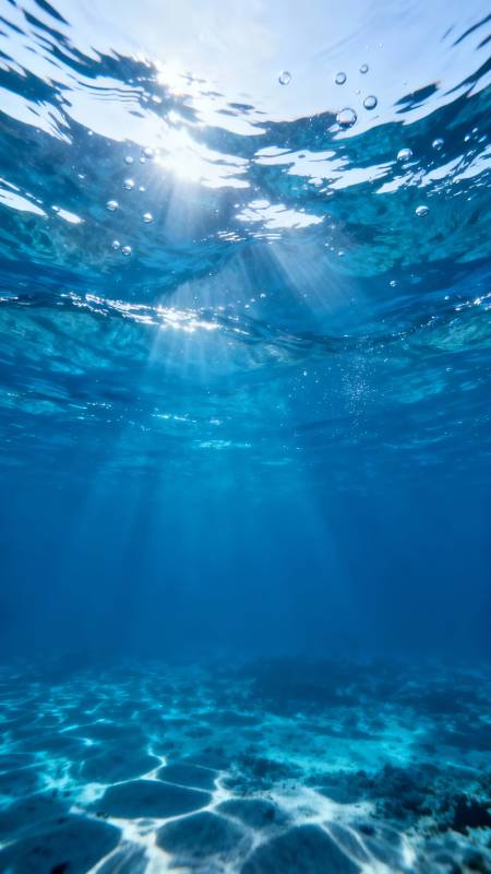 海底阳光 静谧深蓝世界图片