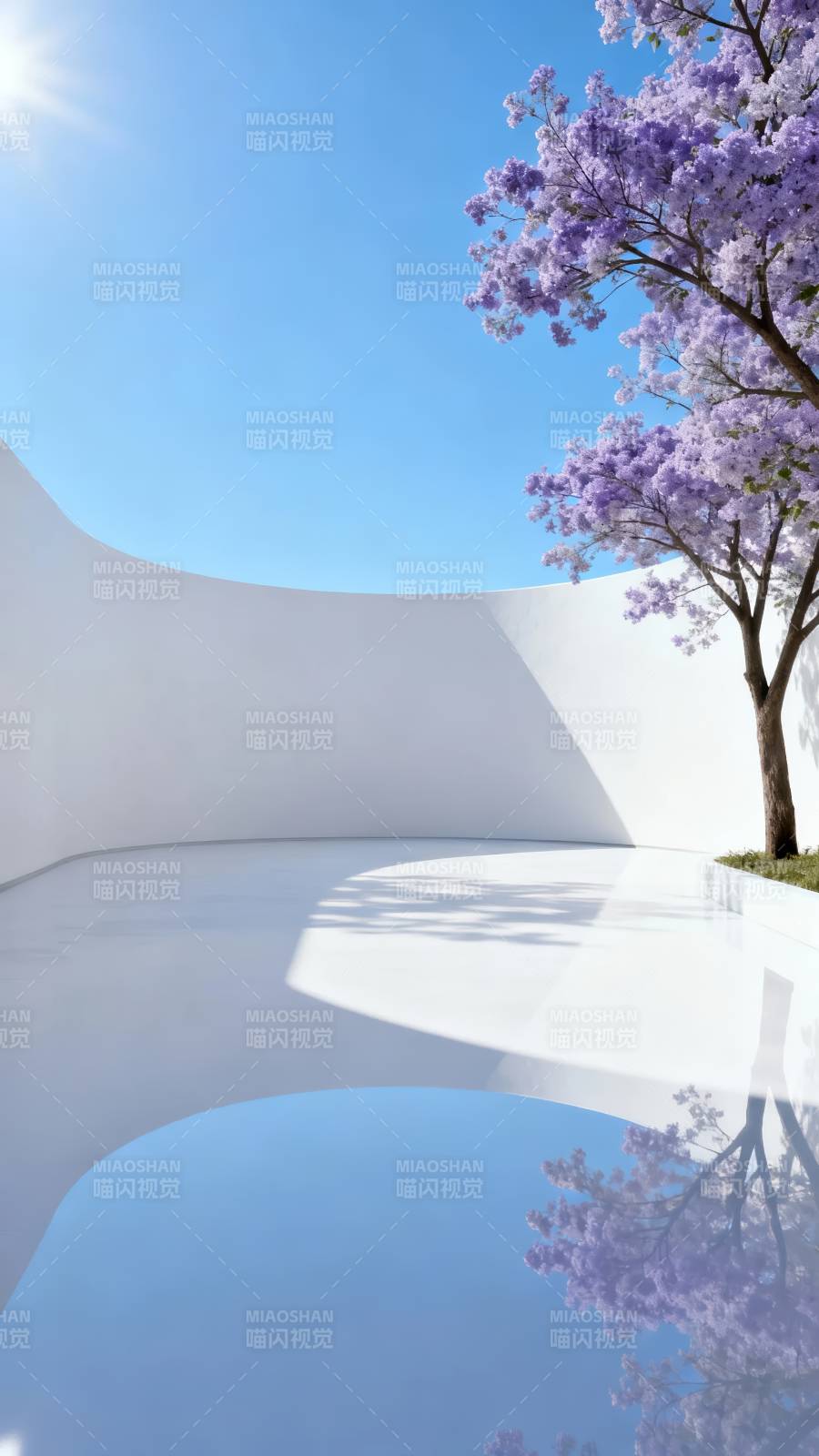 白墙紫花 倒影如画图片