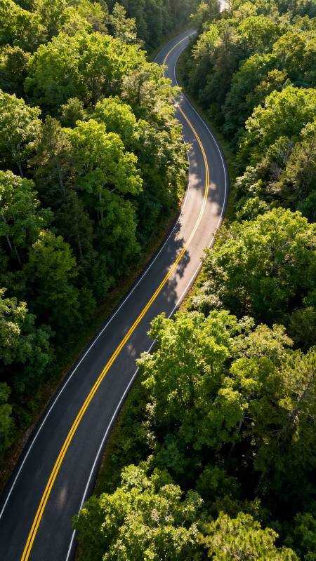 林间蜿蜒公路 绿意盎然图片