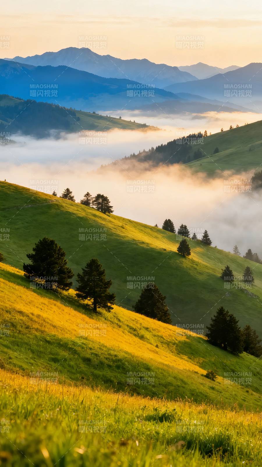 晨雾绕青山 金辉洒绿野图片