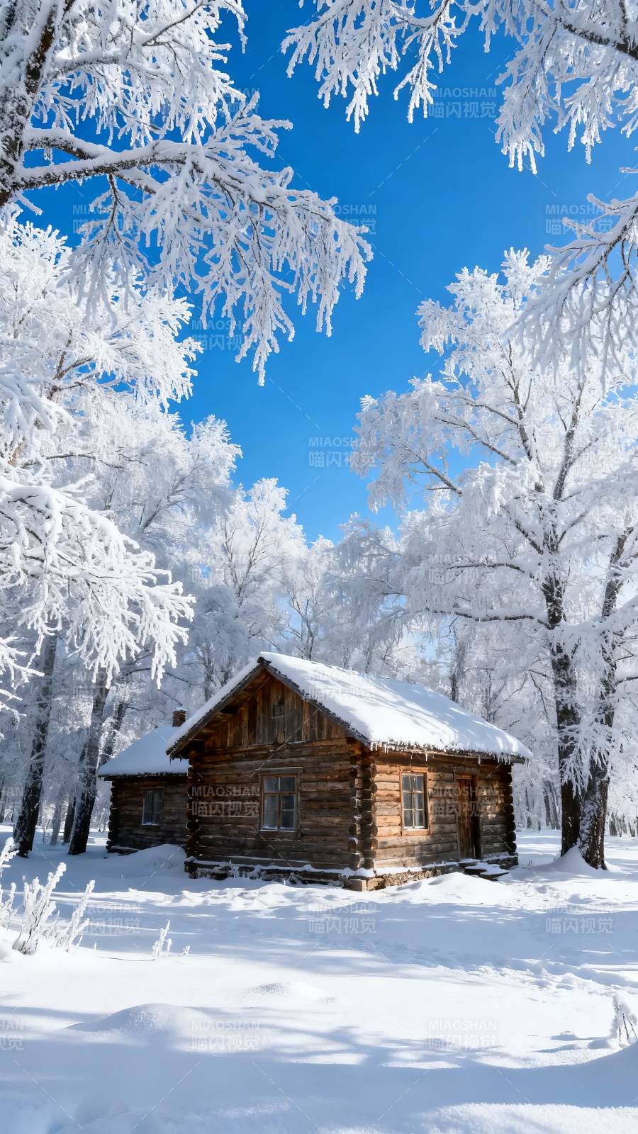 雪覆木屋 霜枝映蓝天图片