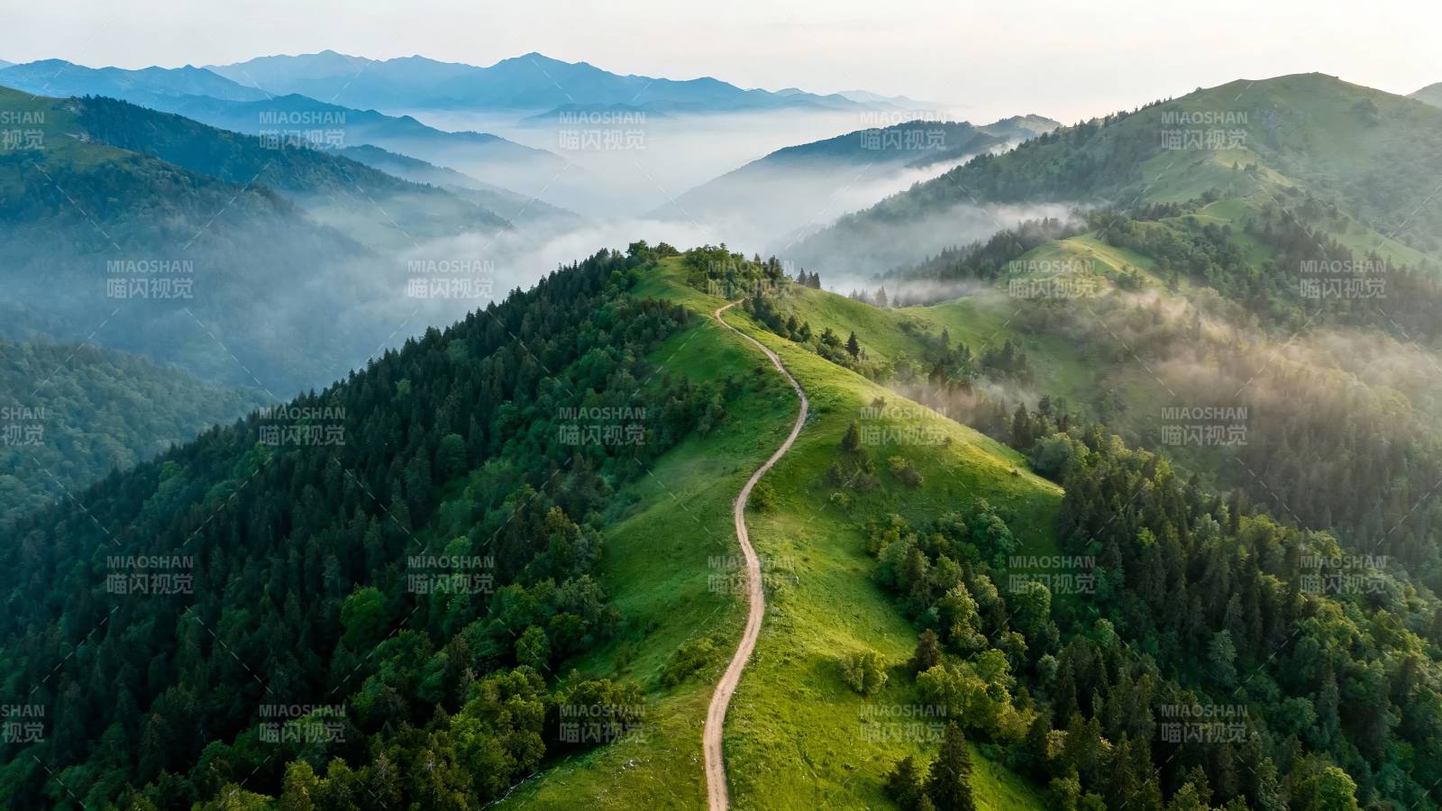 雾绕青山 小径通幽境图片