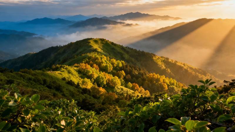晨光穿雾 山峦披金纱图片